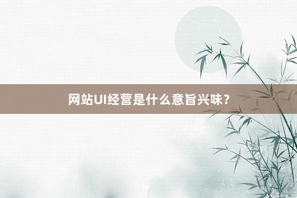 网站UI经营是什么意旨兴味？