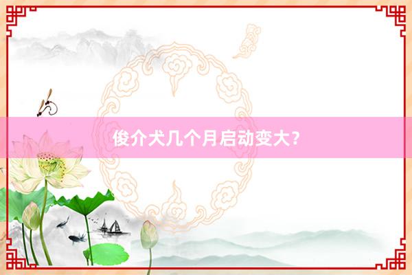 俊介犬几个月启动变大？
