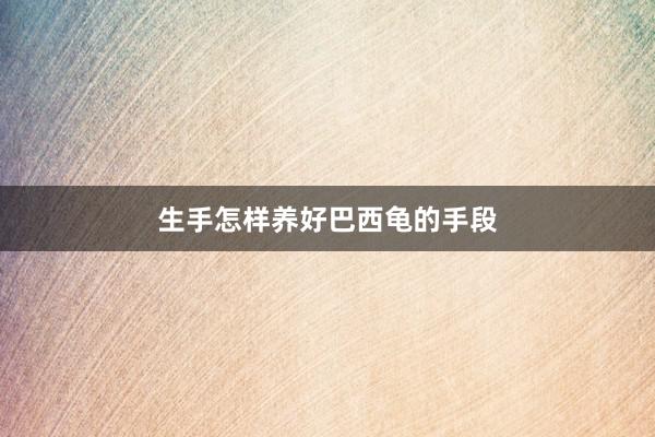生手怎样养好巴西龟的手段